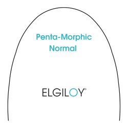 Arch Elgiloy Yellow Penta Normal .016x.022 (10)