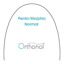 Arch Biolastic Penta Normal .017x.025 V bend (10)