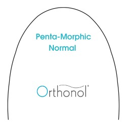 Arch Biolastic Penta Normal .016 V bend (10)