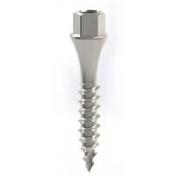 Ortholox+ mini-screw Ø2.0 x 10mm